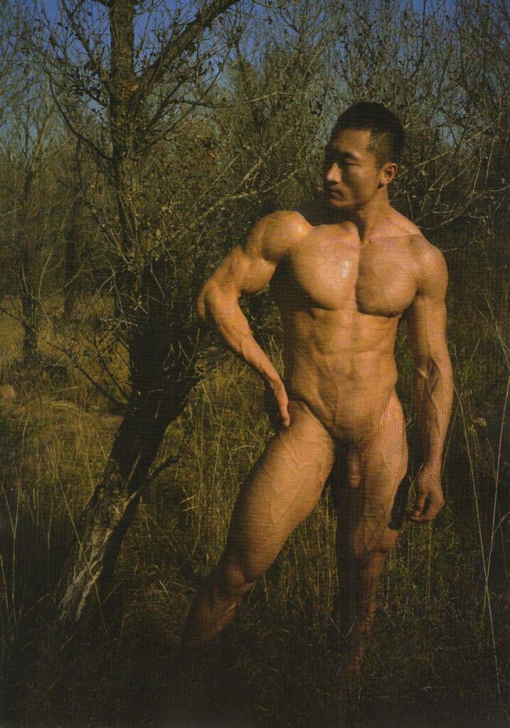 m1 vol8868254379234299505