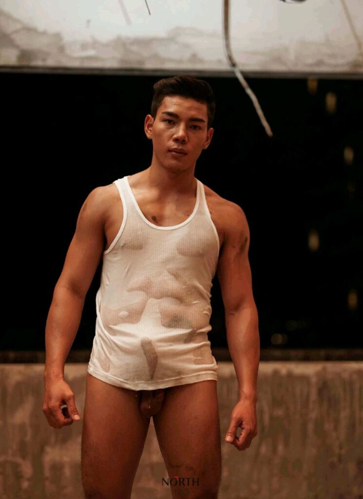 north no2320937590906900200