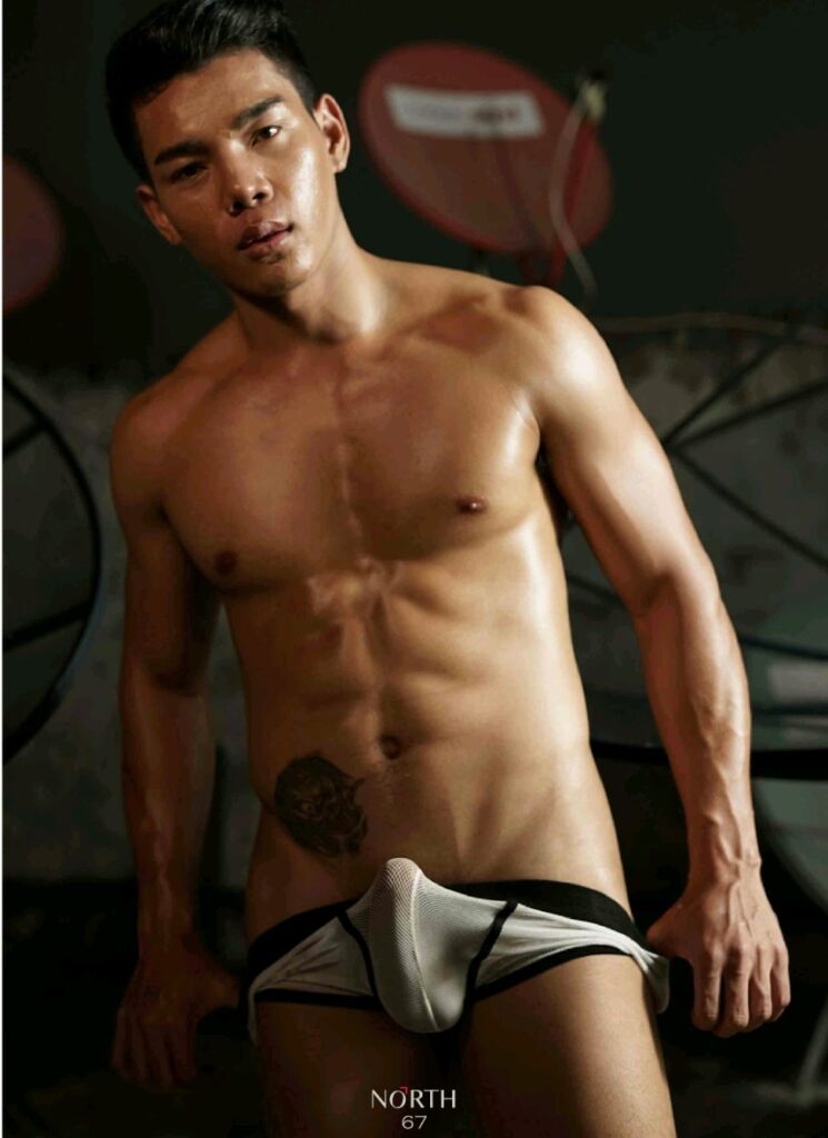 north no3752881384351916988