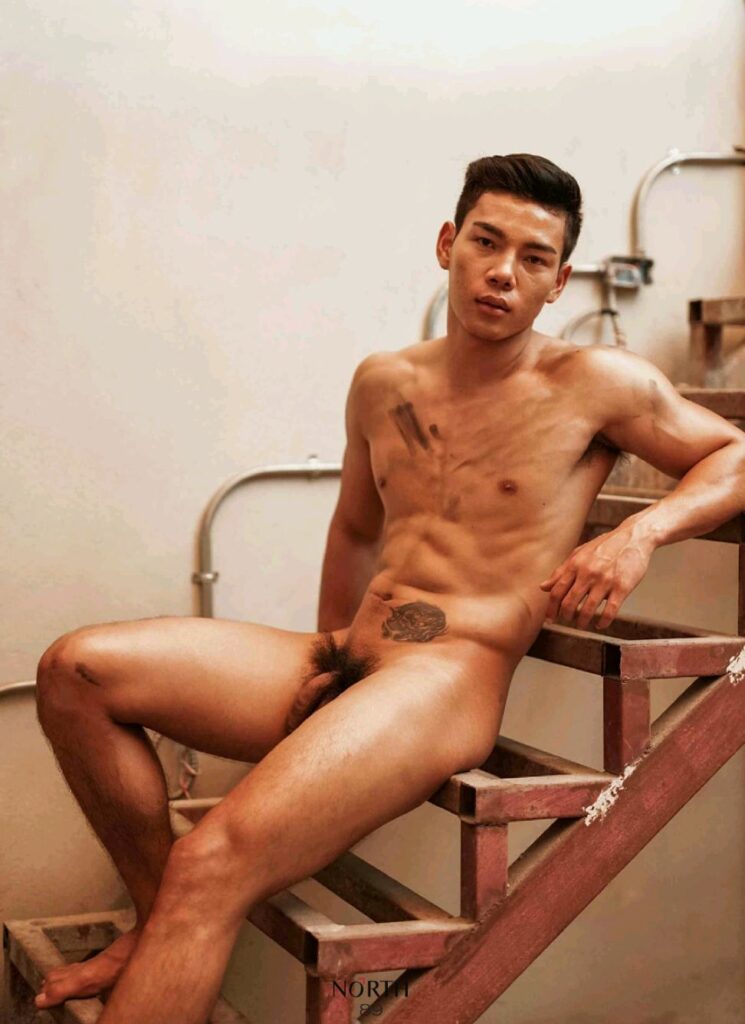 north no4556789257907738414