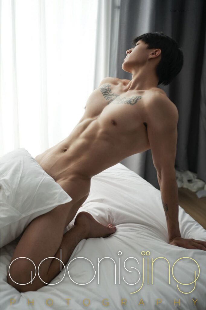 adonis vol4221564982526440317