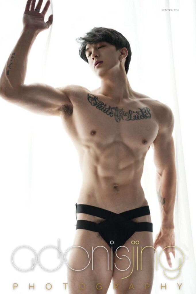 adonis vol8575214280874263459