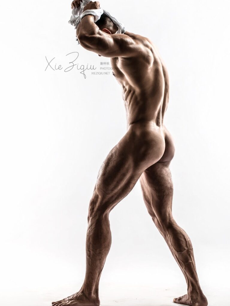 body style no3678822951167256547