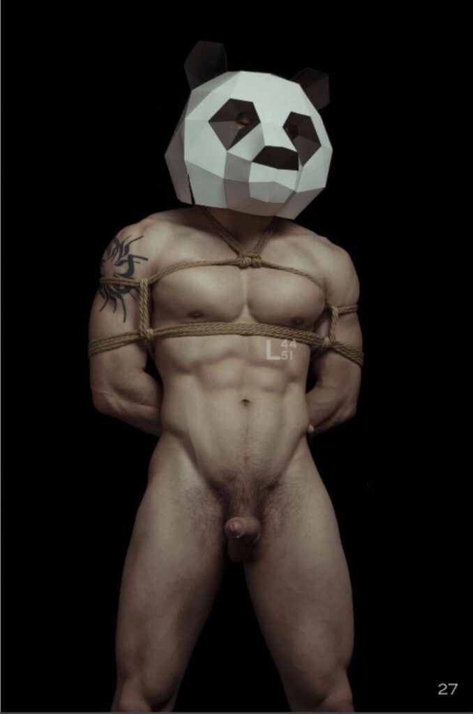 squirrel no3782972611740341681