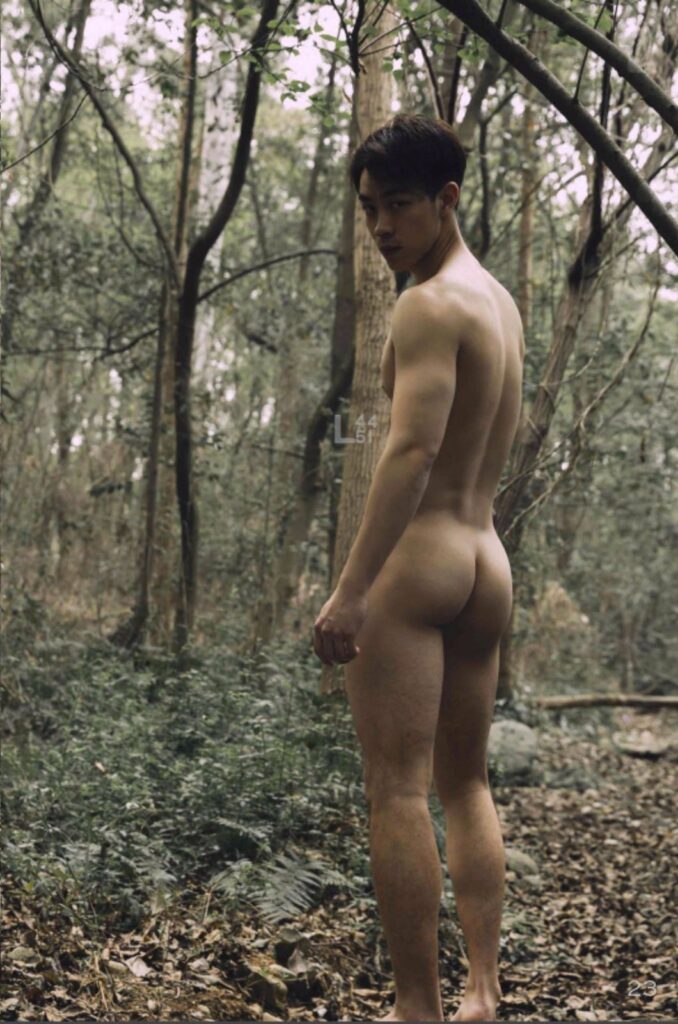 squirrel no3922178103204304582