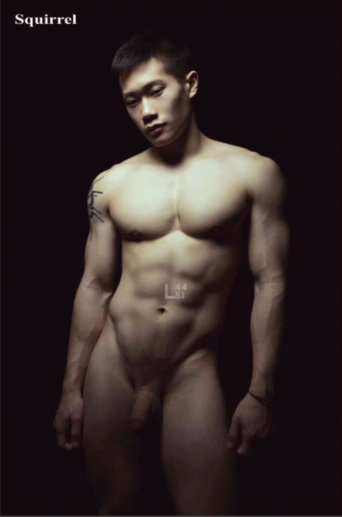 squirrel no7653663445071423592