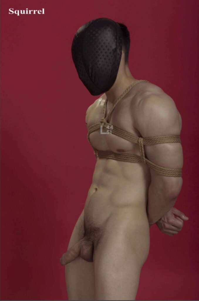 squirrel no9030333638180381294