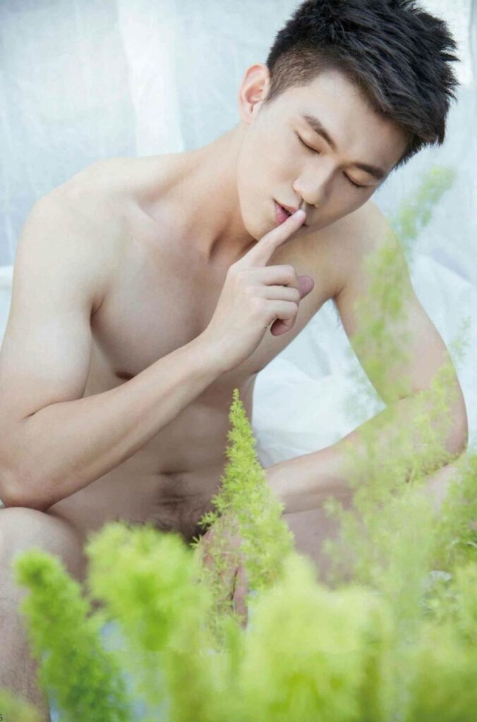 virile no42082708959038523