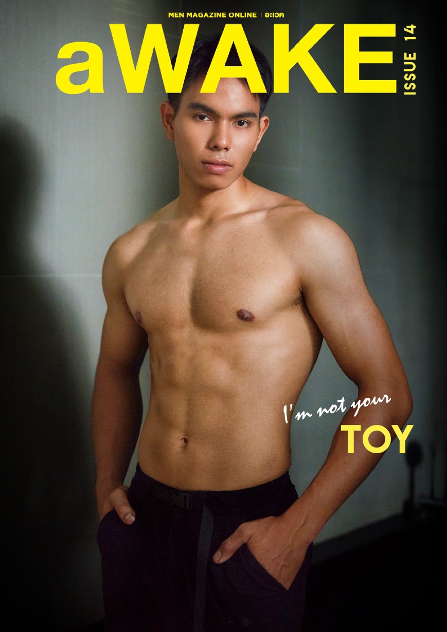 ภาพประกอบ 10