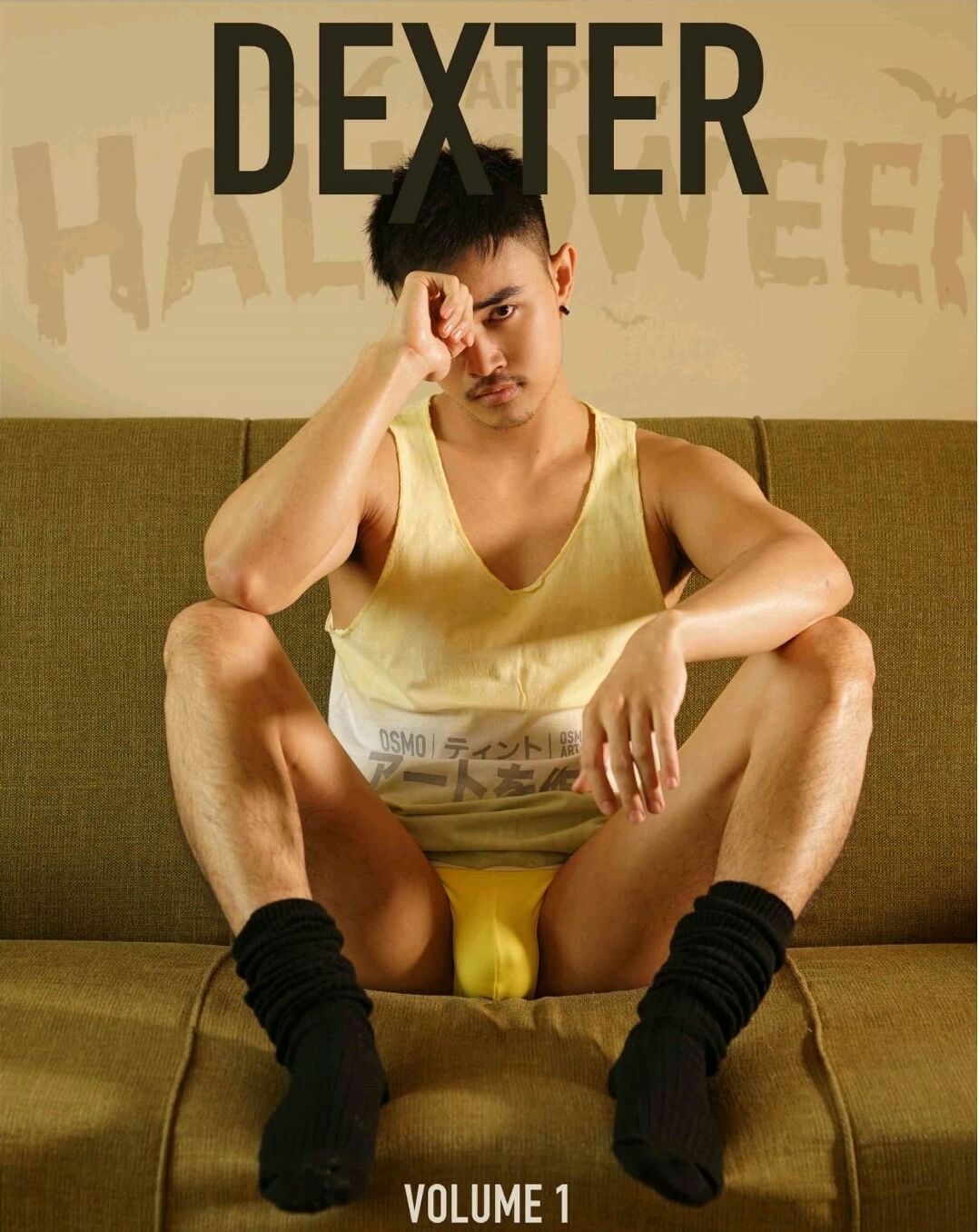 DEXTER VOL.01 EBOOK ศูนย์รวมคลิปเกย์เอเชีย01