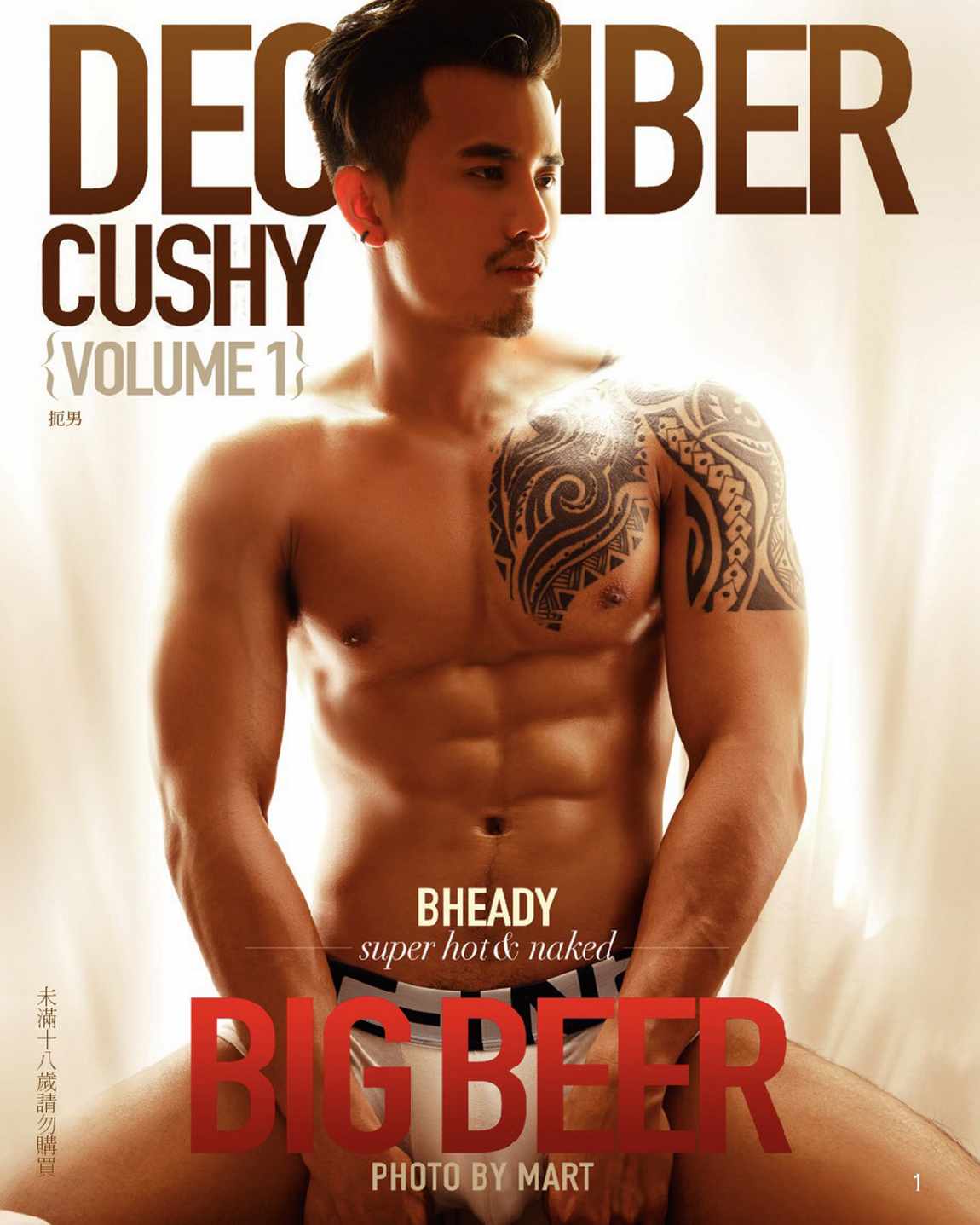DECEMBER CUSHY VOL.01 EBOOK ศูนย์รวมคลิปเกย์เอ01