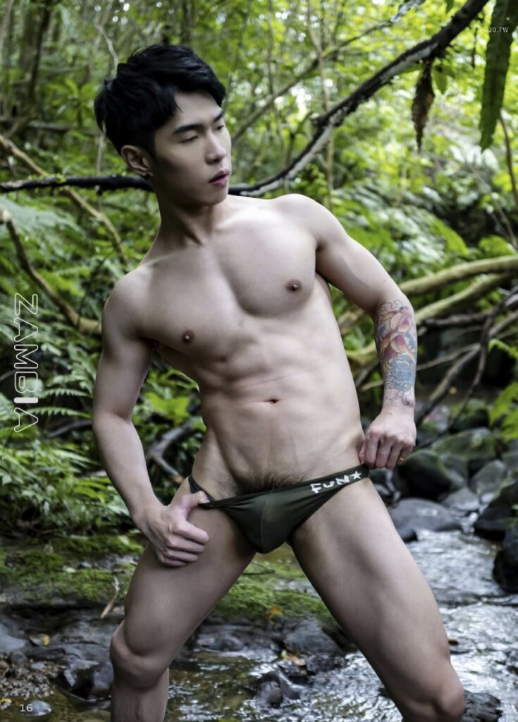 zambia no6063248728262801358