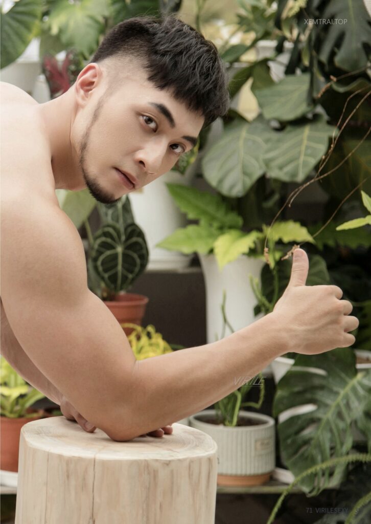 virile no3310696642555632111