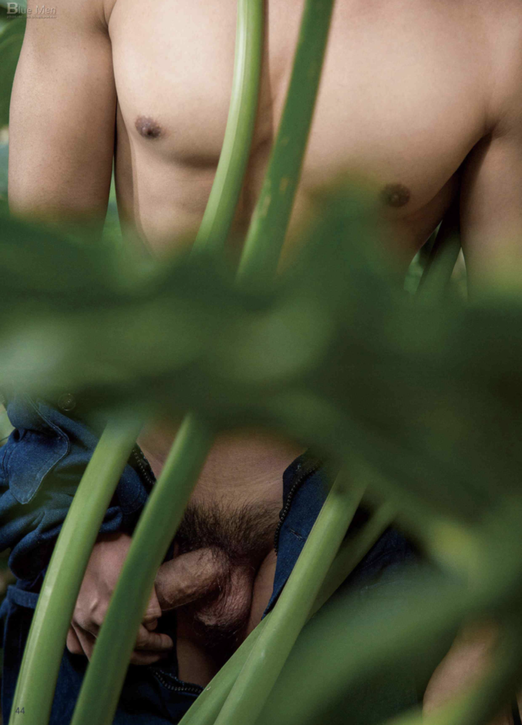 w623832043799241097188